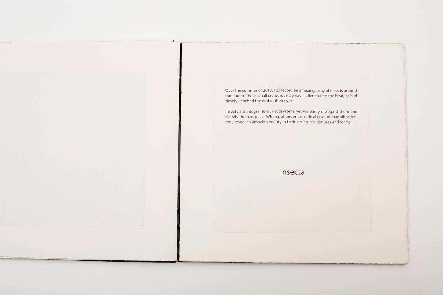 'Studio-Collection'-Artist-Book-29-x-29-x-20-cm.-Edition-of-3-with-one-artist-proof-5.jpg