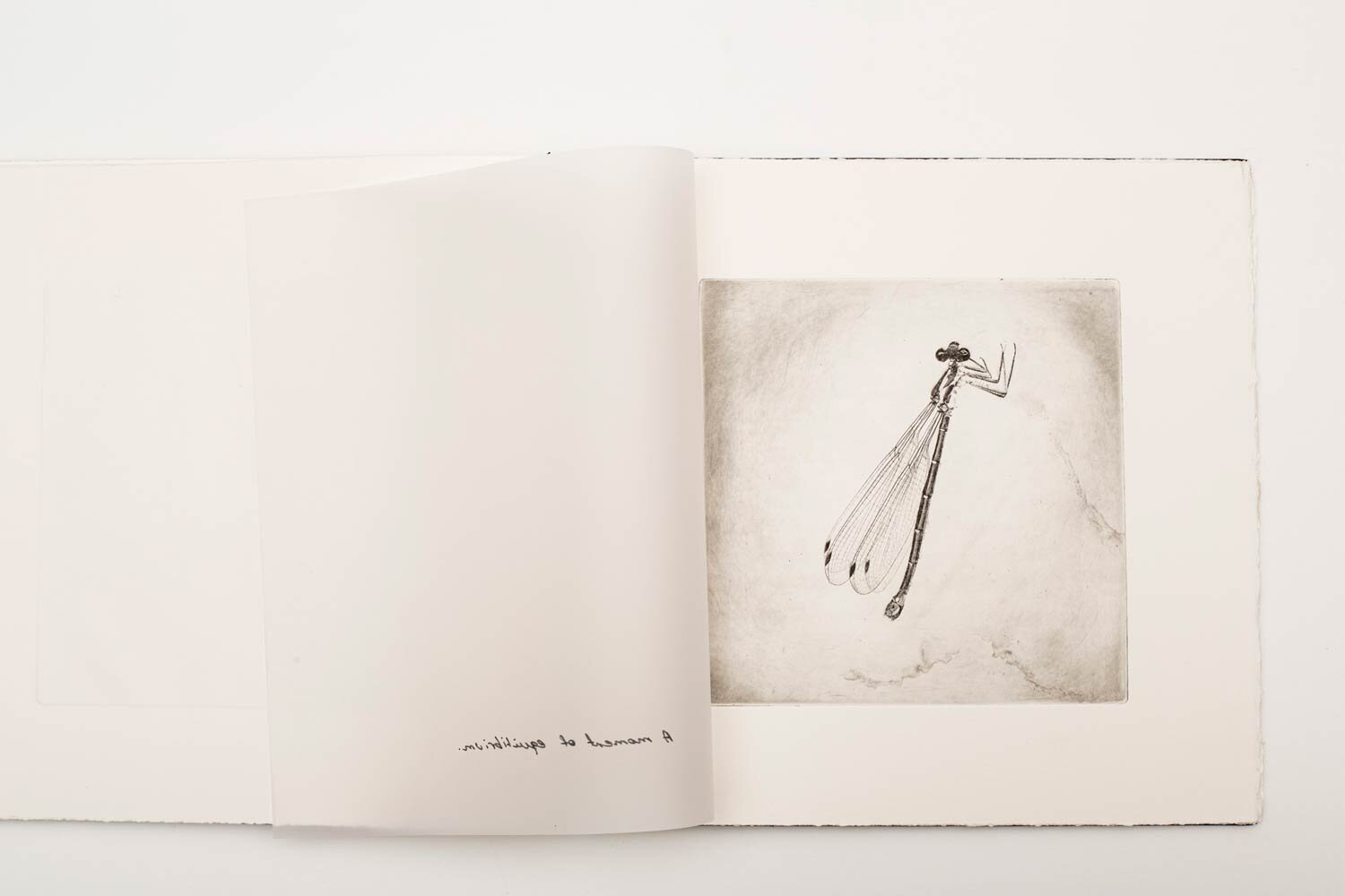 'Studio-Collection'-Artist-Book-29-x-29-x-20-cm.-Edition-of-3-with-one-artist-proof-6.jpg