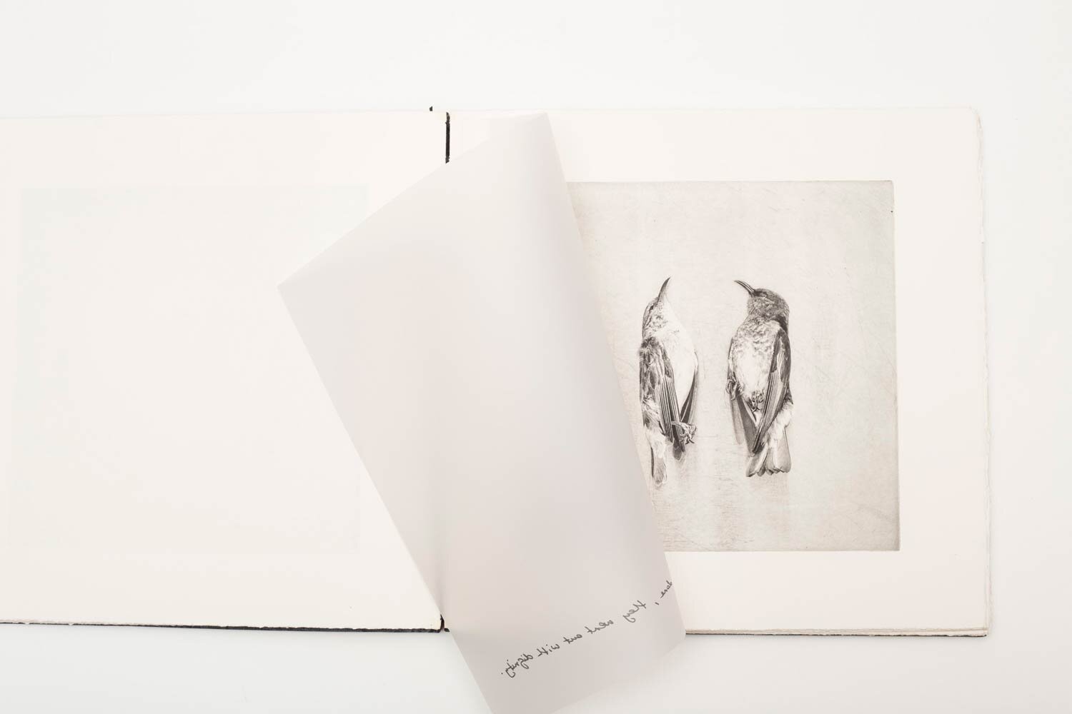 'Studio-Collection'-Artist-Book-29-x-29-x-20-cm.-Edition-of-3-with-one-artist-proof-3.jpg