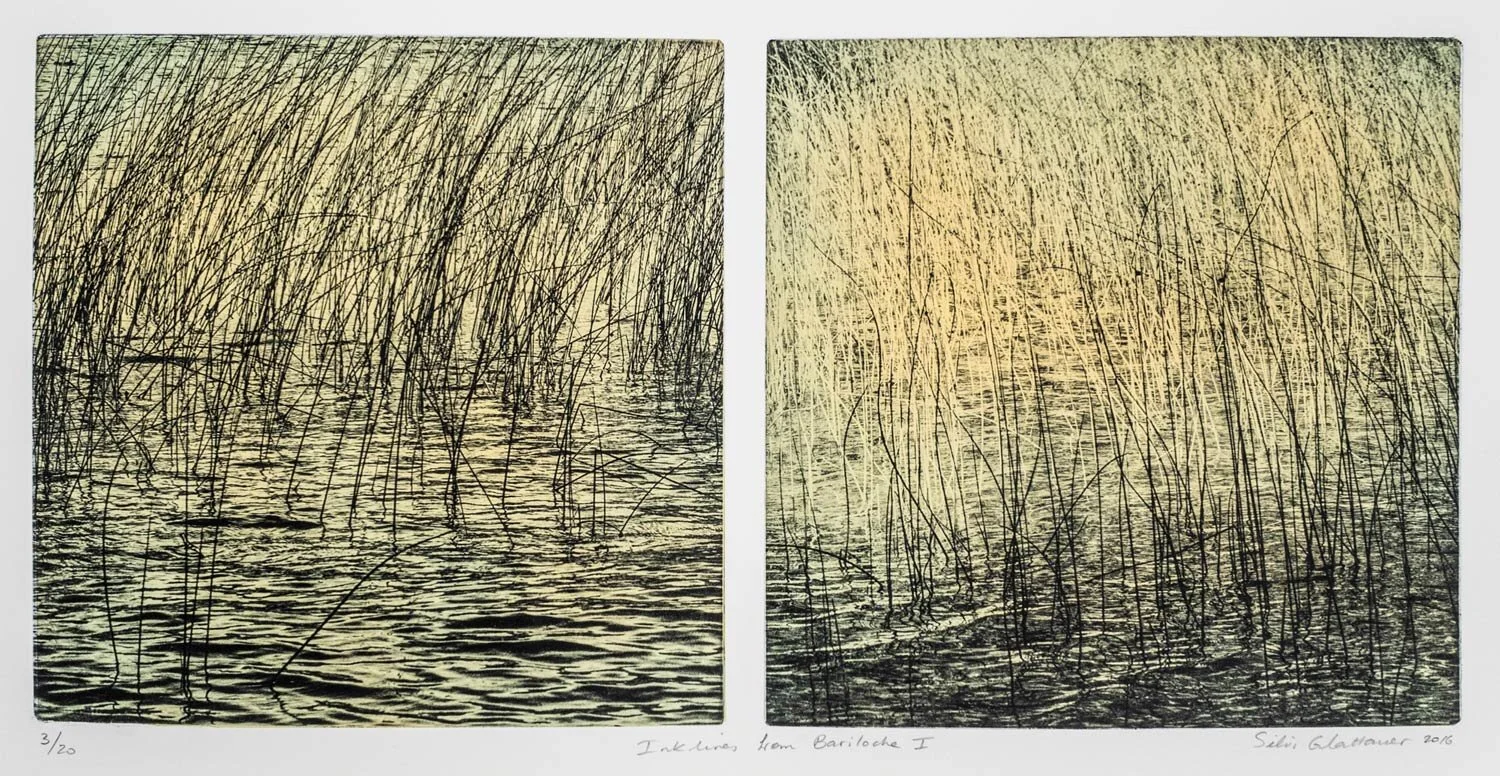 Inklines From Bariloche 2015 