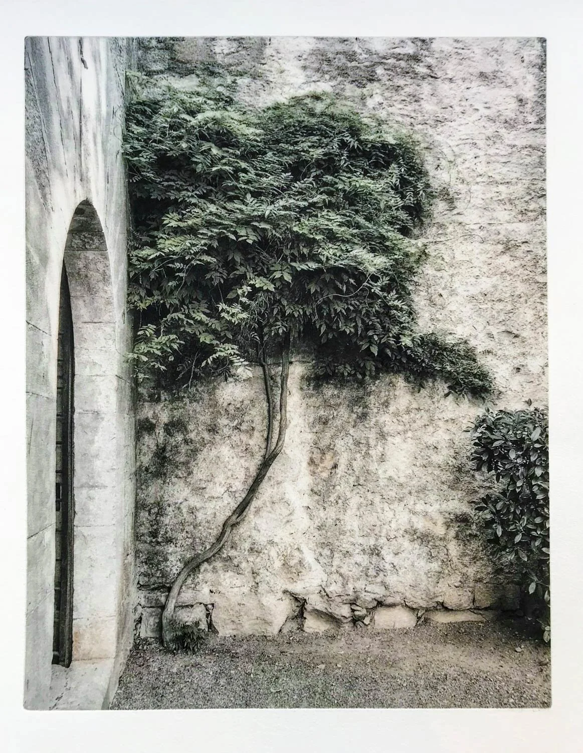Torre Gironella 2017