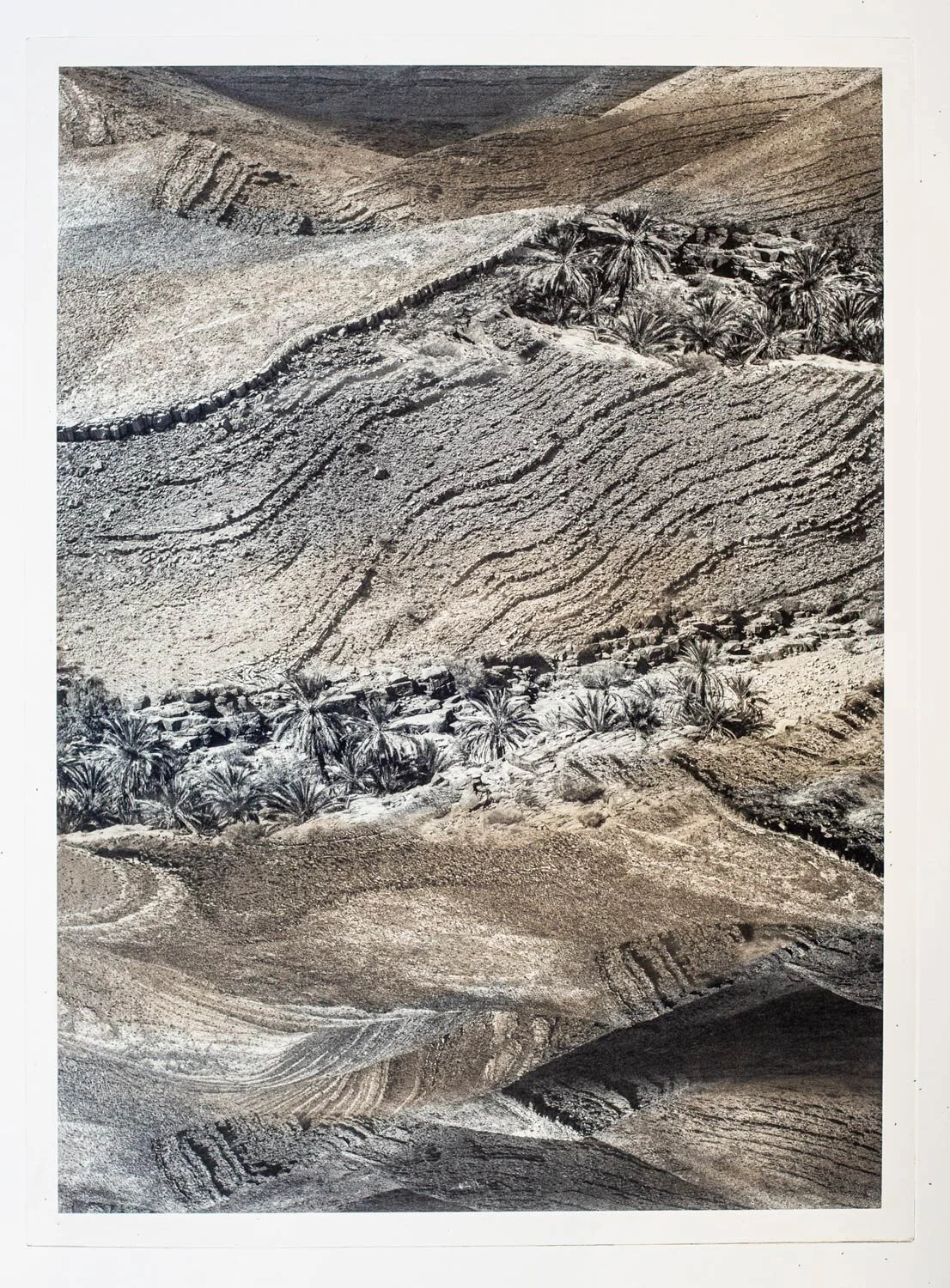 Renegotiating The Landscape 2019 - 2022