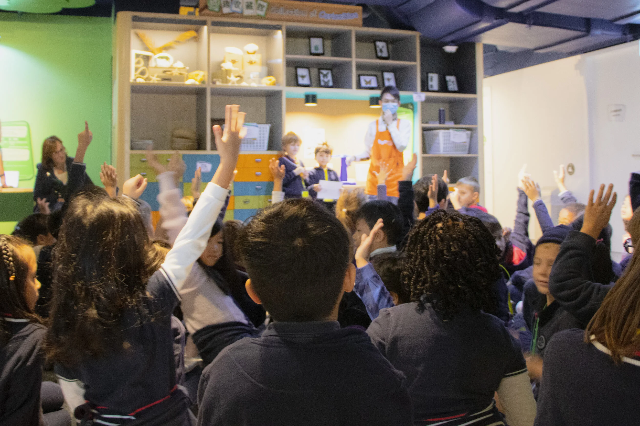 Copy of IMG_1995.JPG