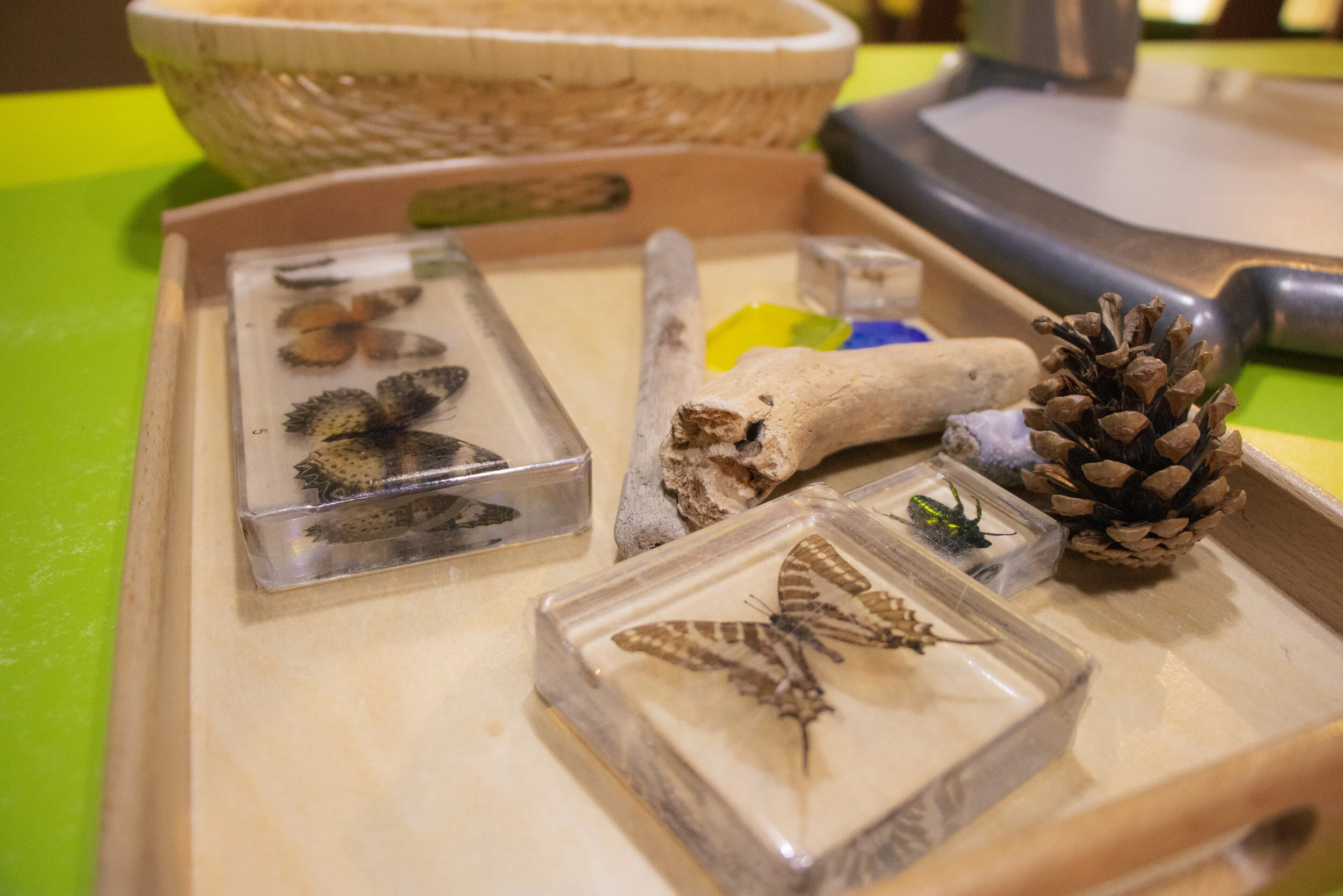 Copy of IMG_2398.JPG