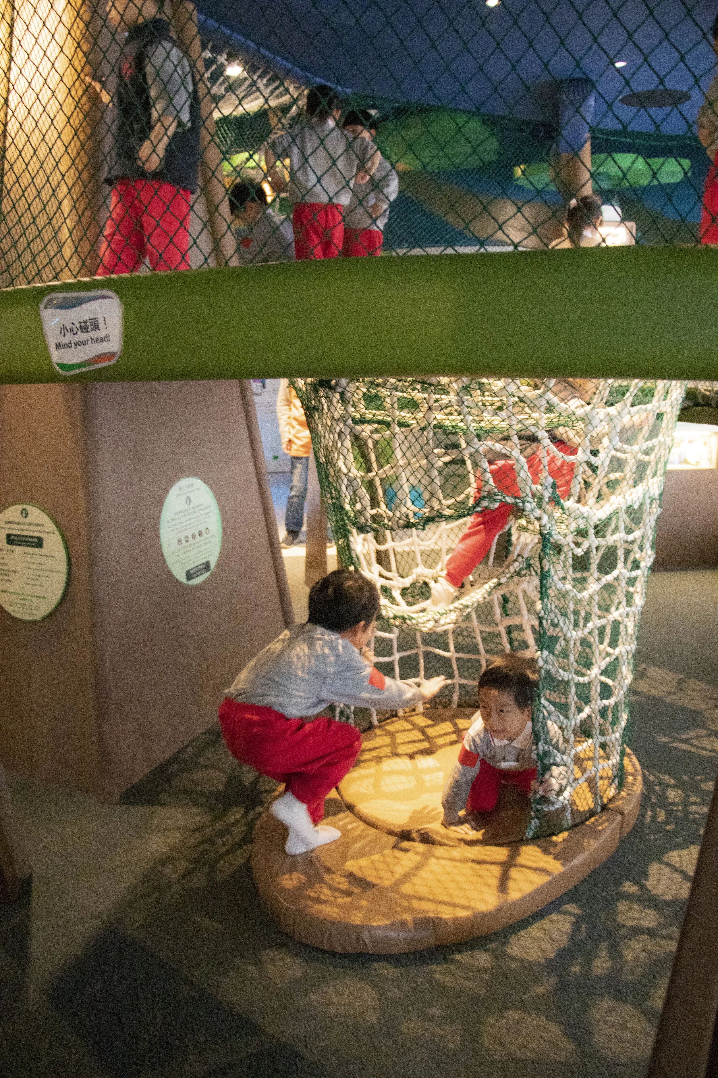 Copy of IMG_2341.JPG