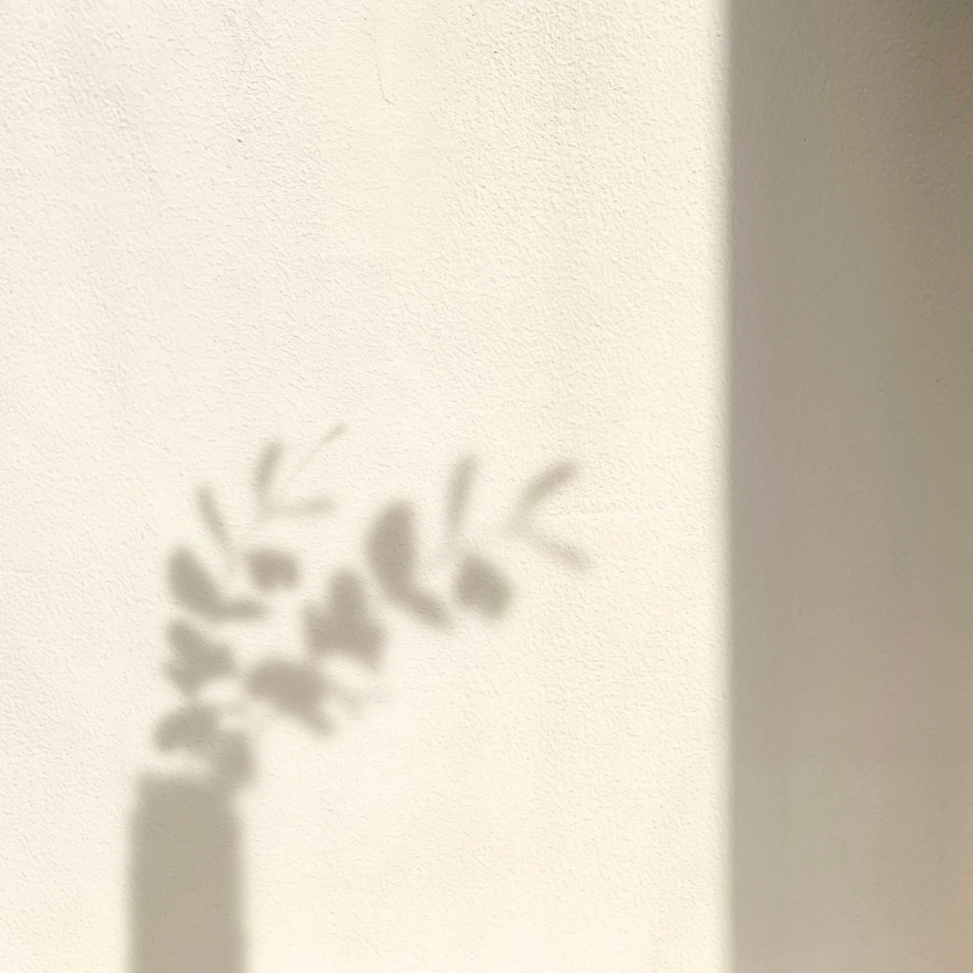 Beige Minimalist Boho Aesthetics Instagram Post.PNG