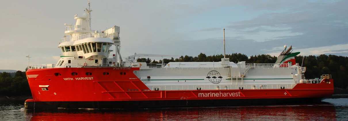 Hull launching