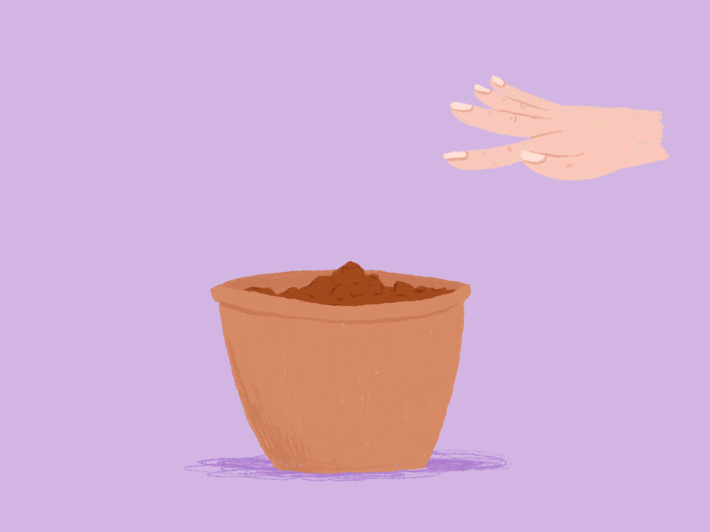 Animations and GIFs — RACHAEL PRESKY Animations and GIFs — RACHAEL PRESKY