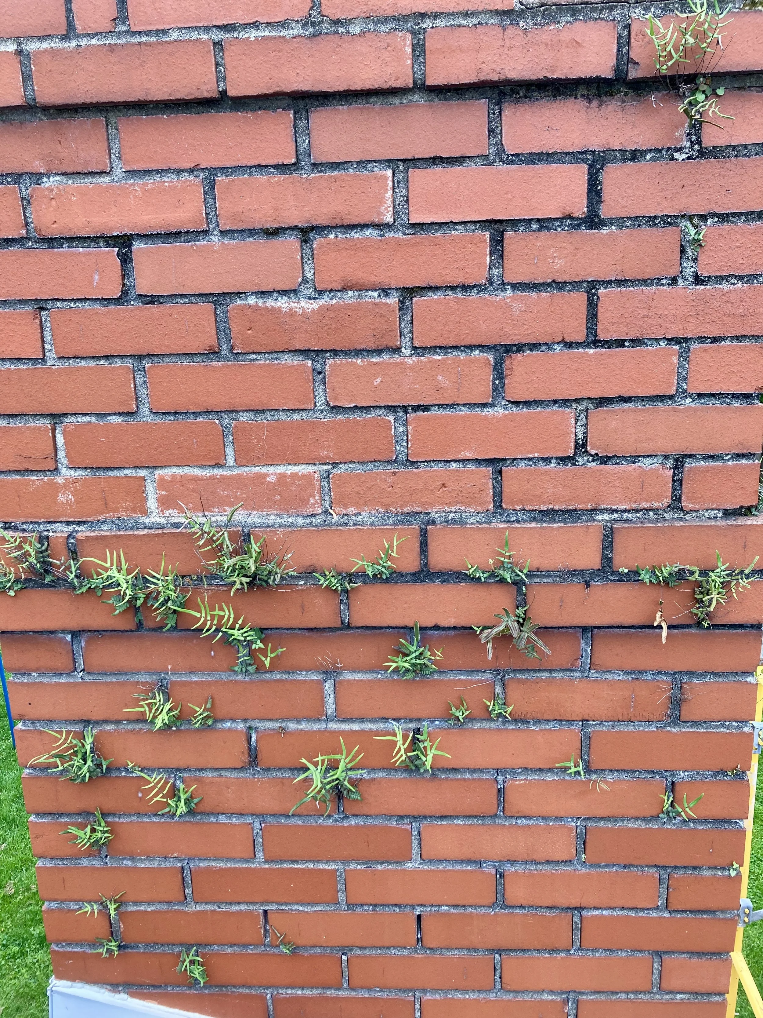 mortar