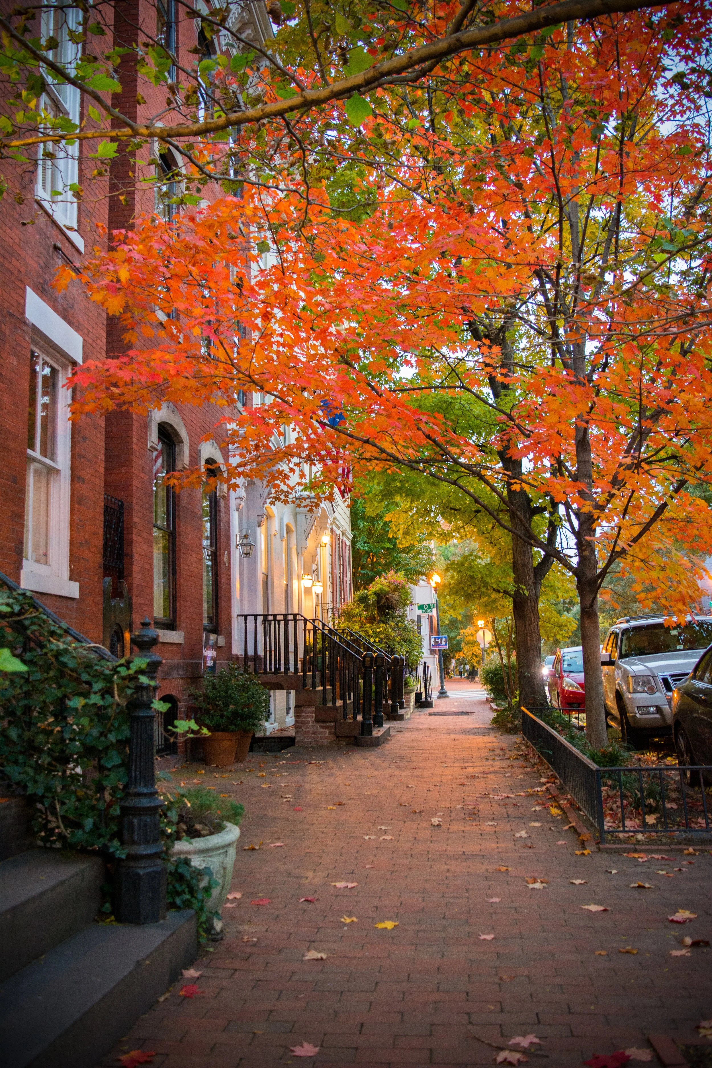 Greenwich Village.jpeg