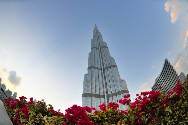 FLowers and Burj.jpeg