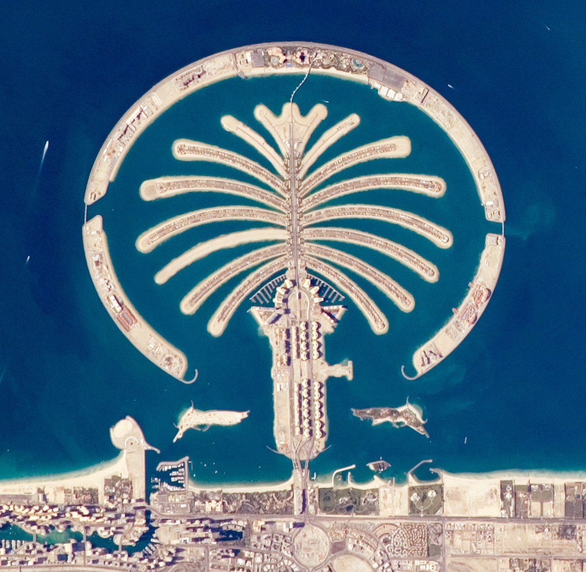 Palm Jumeirah .jpeg