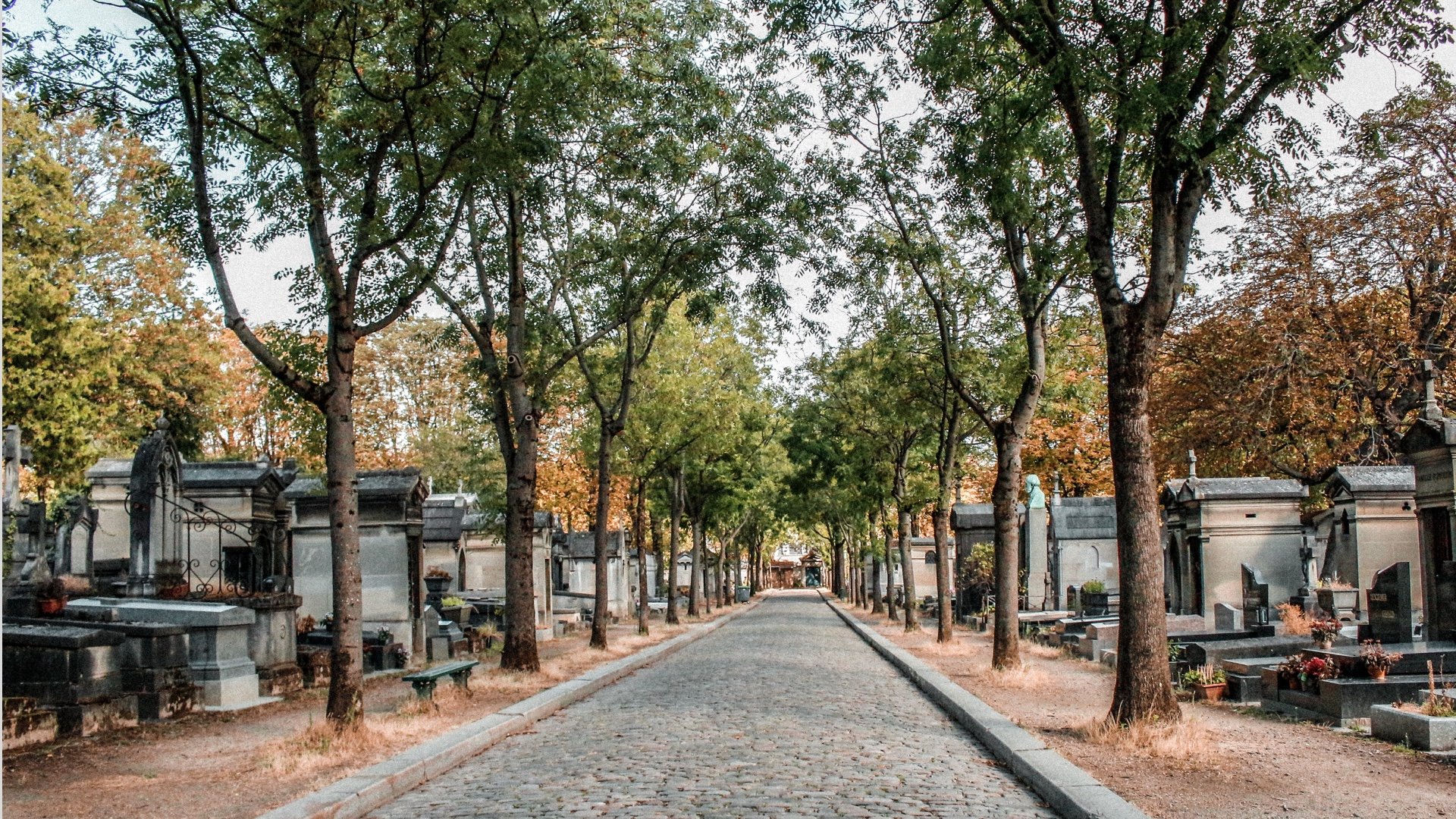 3. Pere Lachaise Vidi Guides Self Guided.jpg