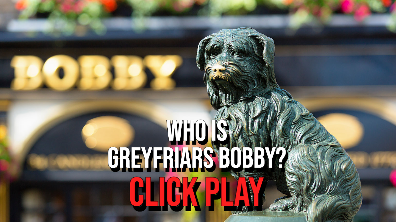 Who is Greyfriars Bobby?