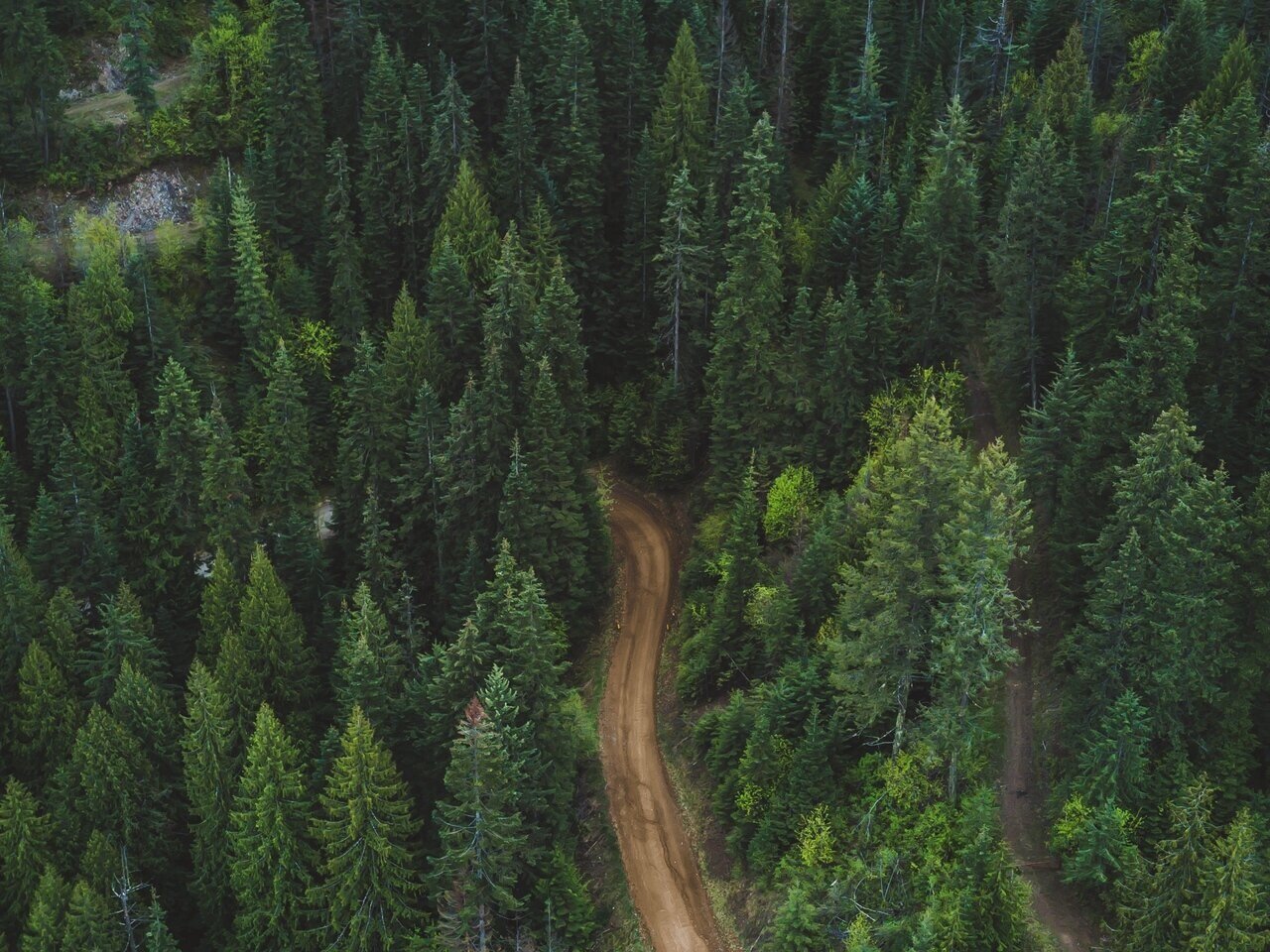 forest_aerial_view_road_133263_1280x1280.jpg