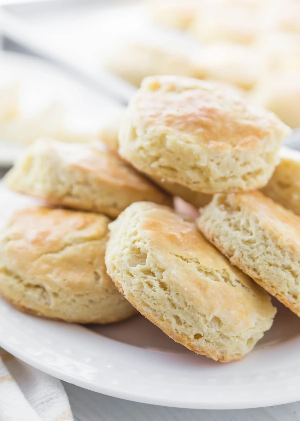 biscuits-resize-7.jpg