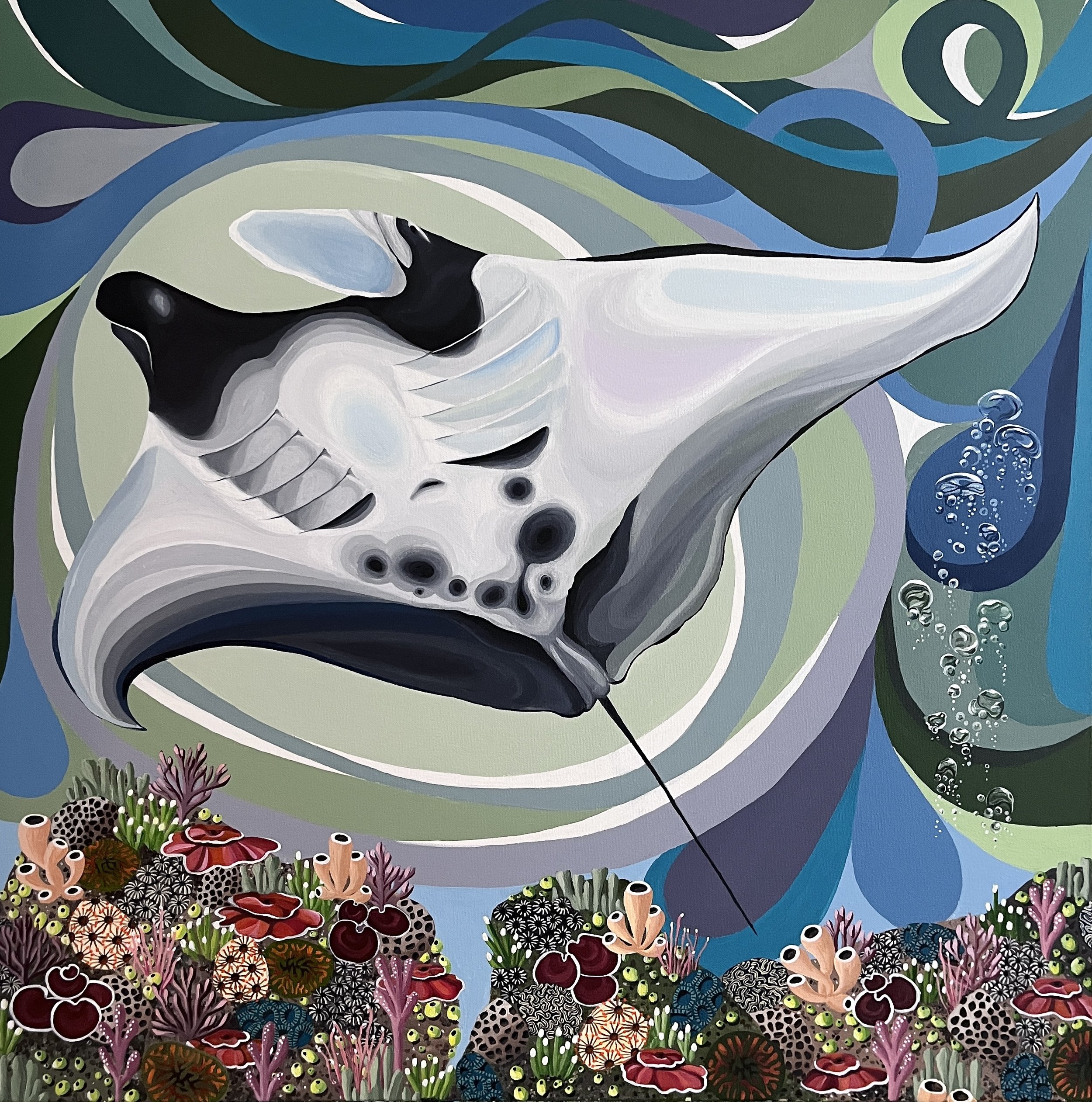 Manta Ray