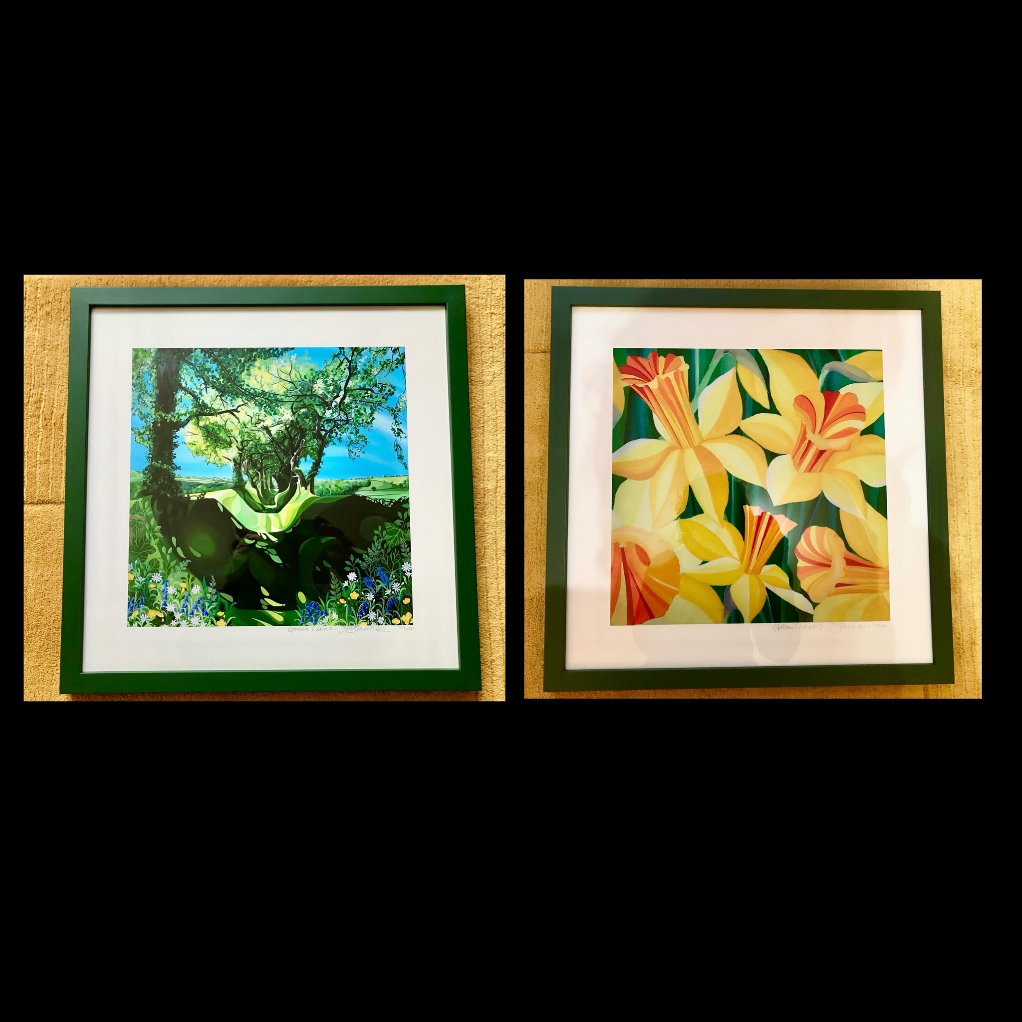 A lovely customer took the time to send photographs of her framed prints. I think they look fab in the dark green frames. X

#gardens #trees #gardeners #treepeople