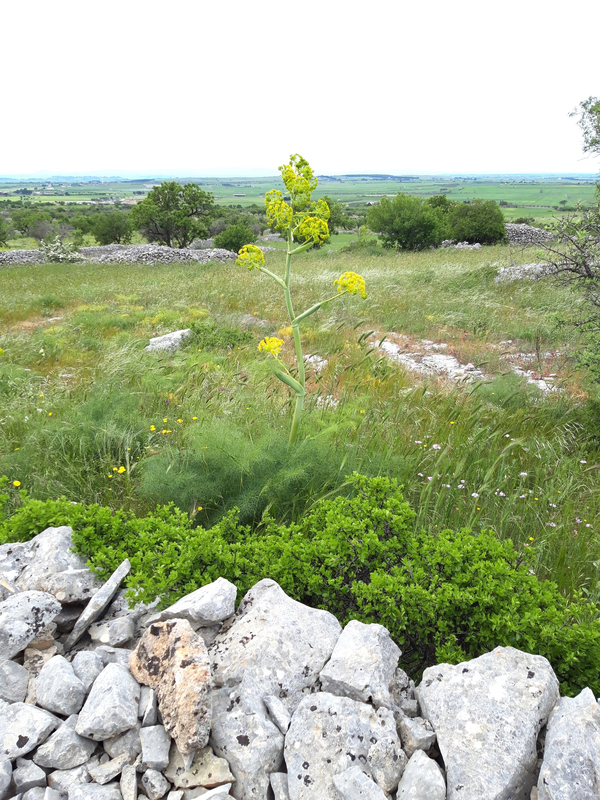 20190503_112935.jpg