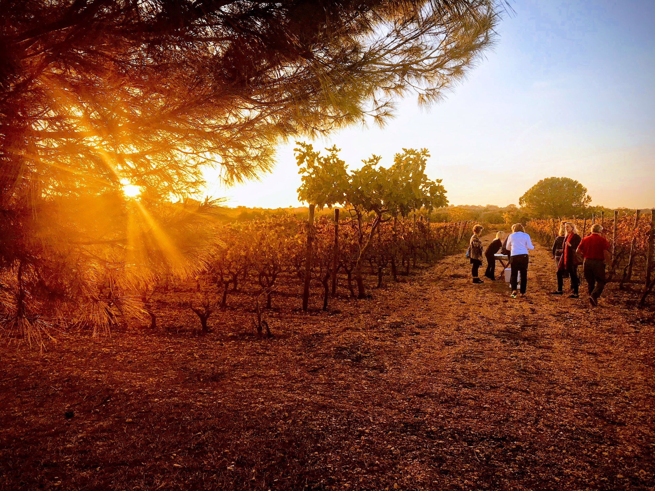 Slow travel and walking holidays in South Italy