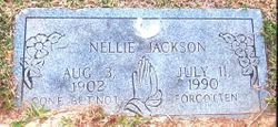 Nellie's grave.jpeg