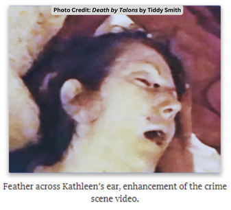 The Pop Culture of the Michael Peterson Case — Southern Fried True