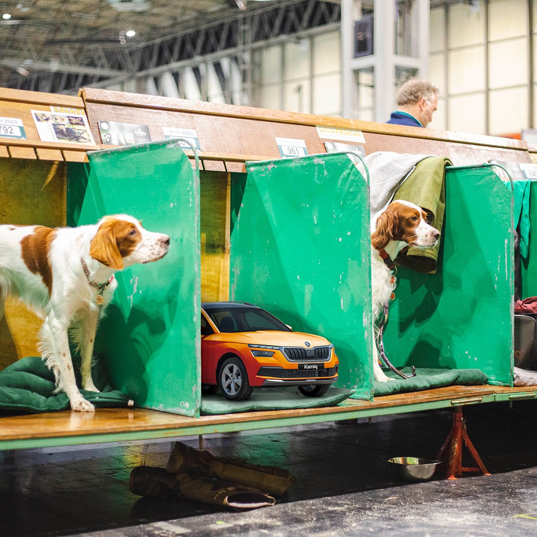 CRUFTS-4_HR03_AFTER.jpg