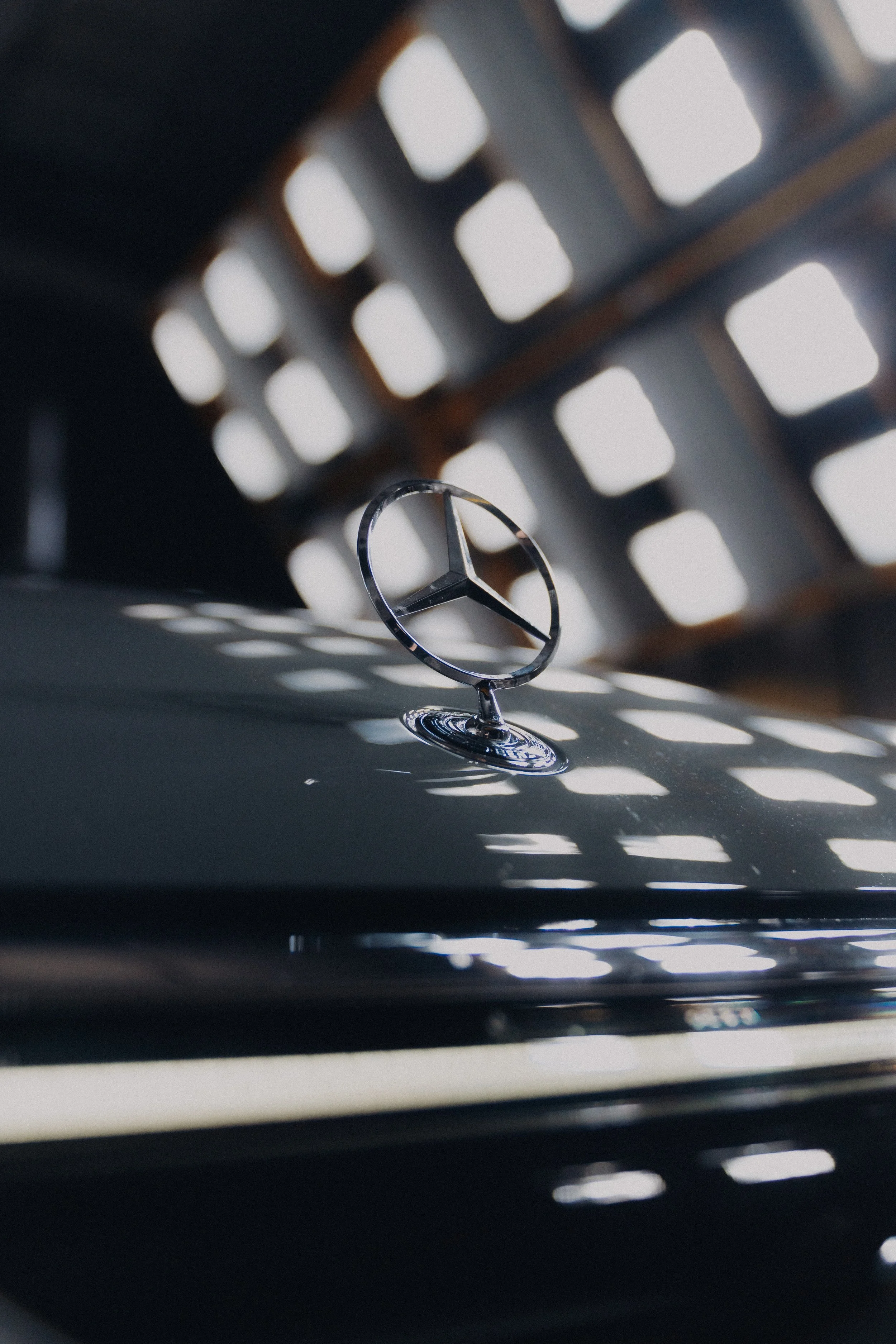 2_241112_OSK Because Mercedes_DCMNO_07648.jpeg
