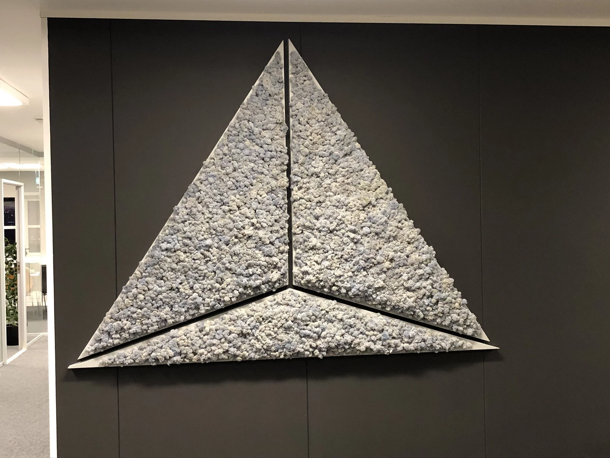 Bilde 11.11.2019, 21 04 28.jpg