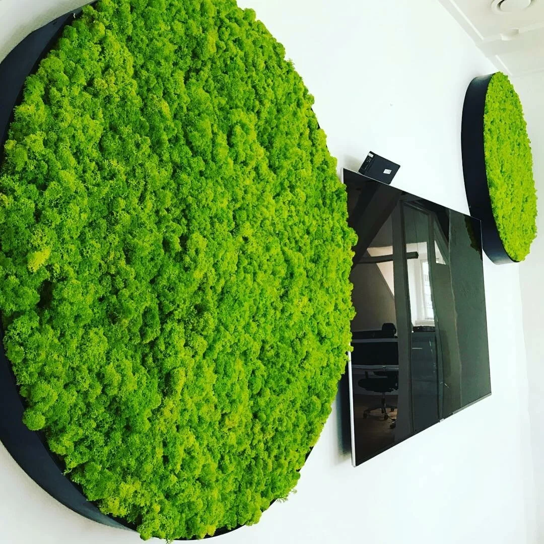 Bilde 27.09.2018, 00 33 14.jpg