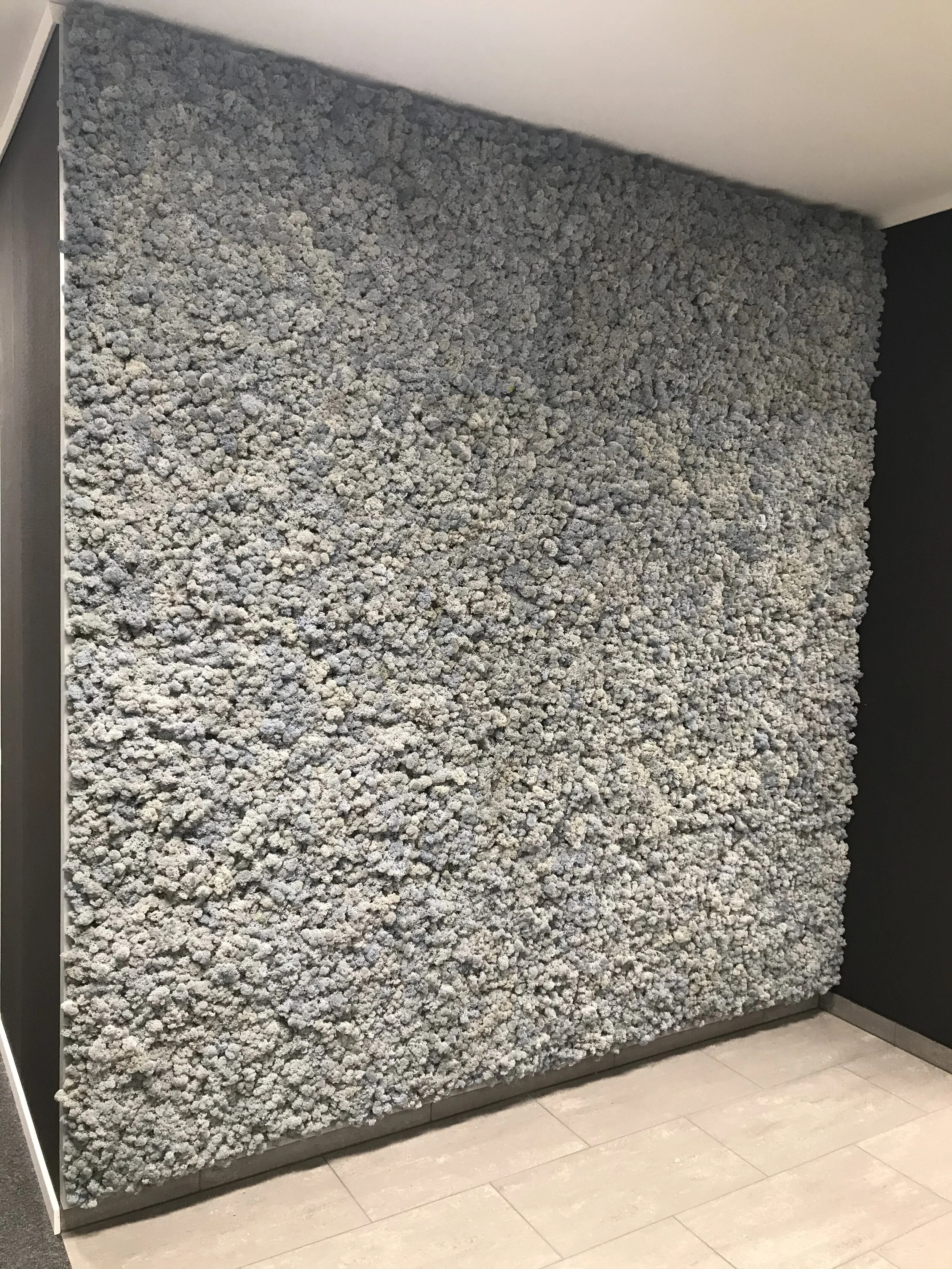 Bilde 10.11.2019, 17 37 05.jpg