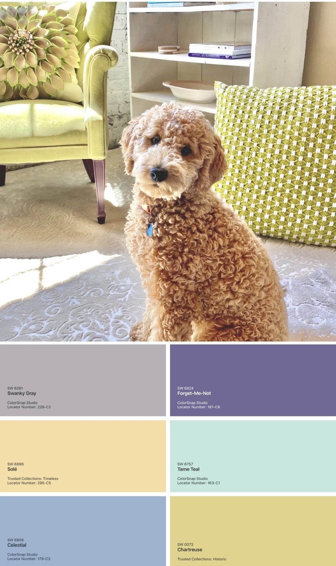 Learn to choose paint color