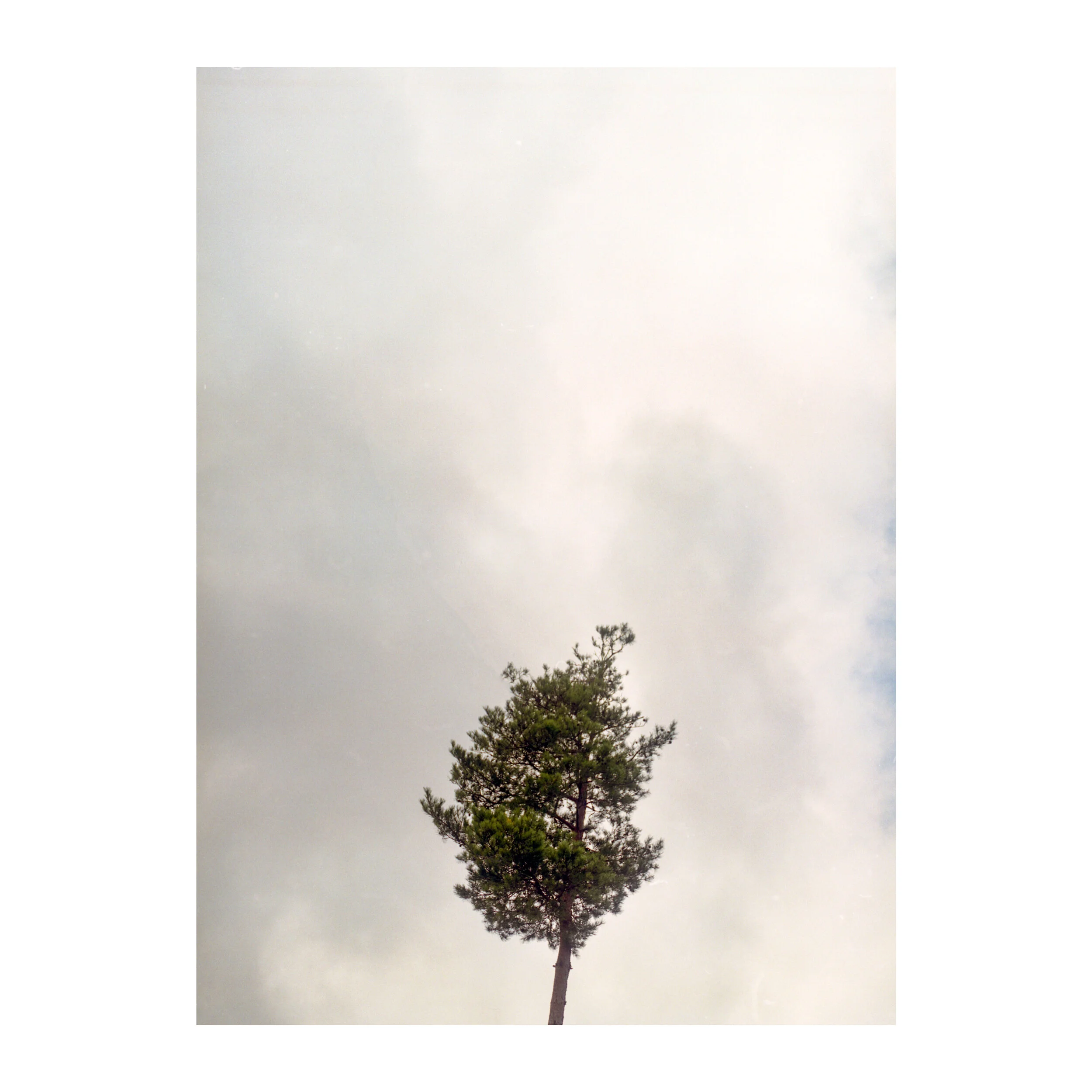 名称未設定 3.jpg