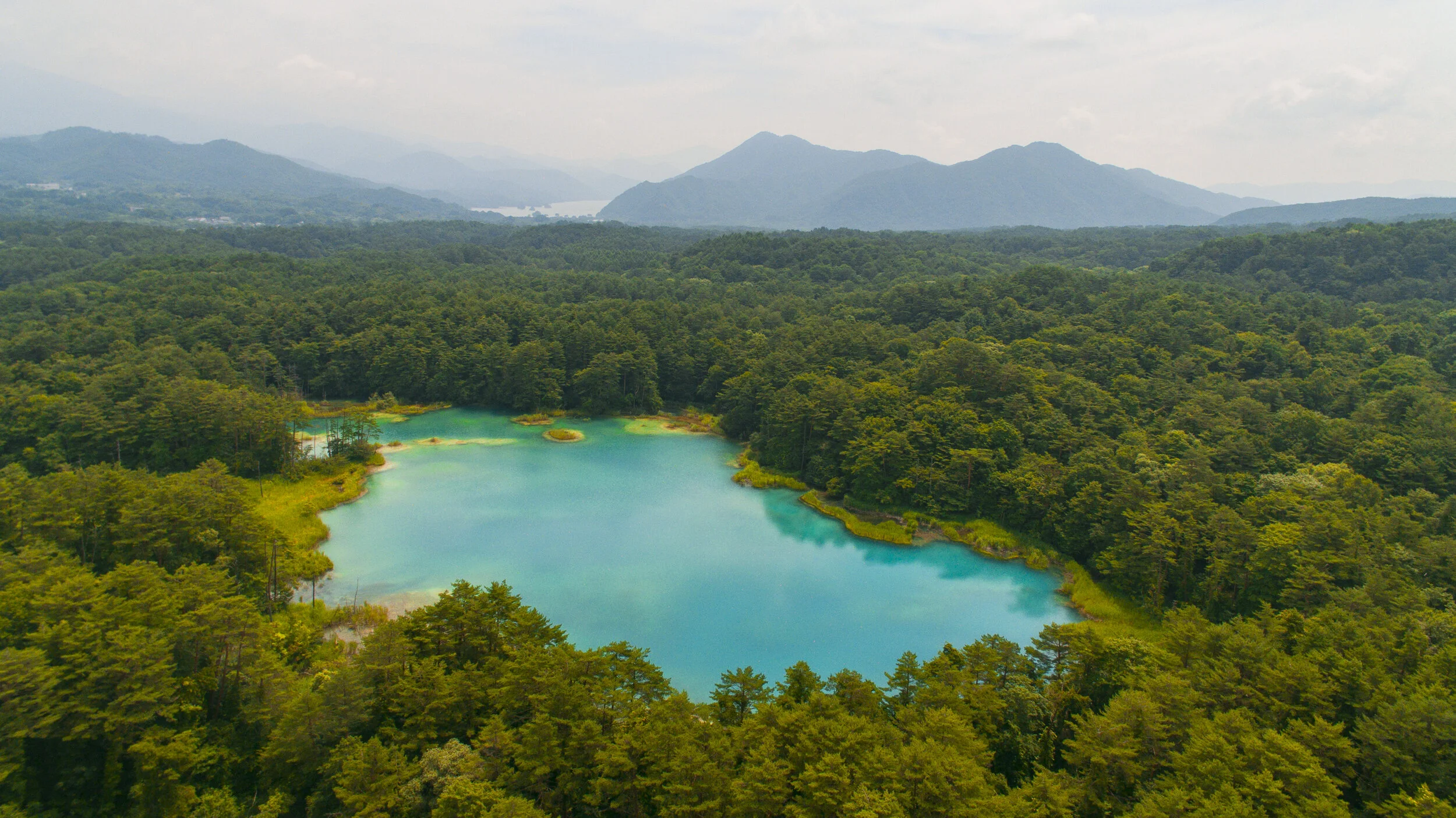 DJI_0012.jpg
