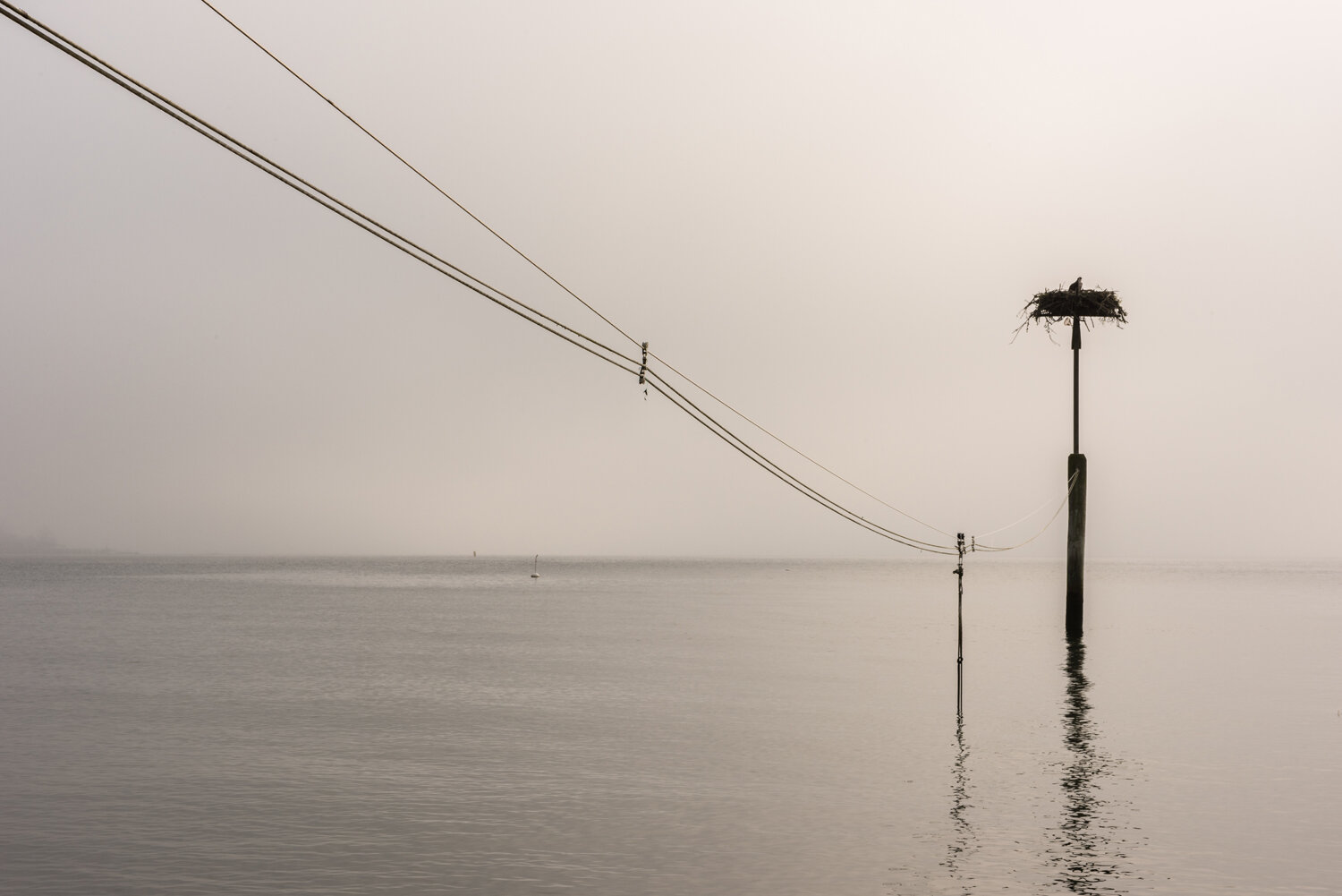  Click on Image for More Info 