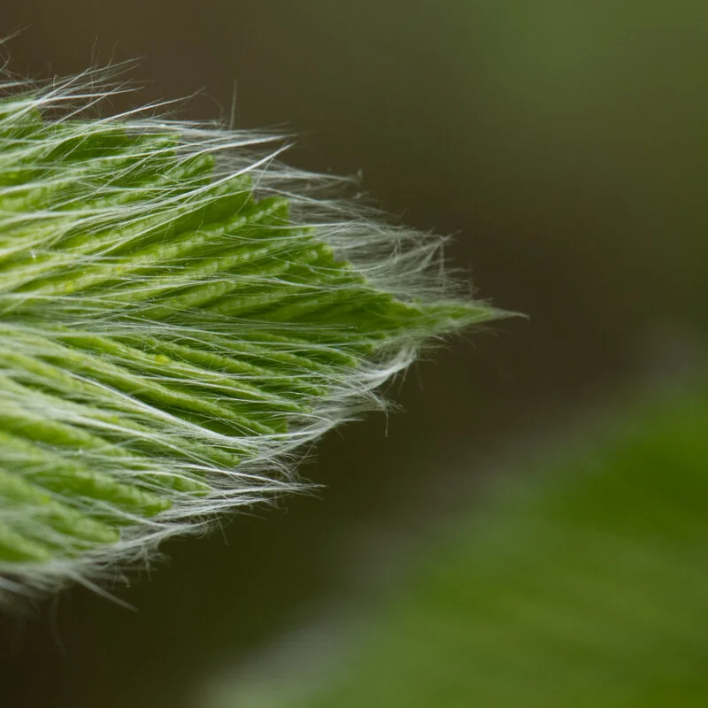  Click on Image for More Information 