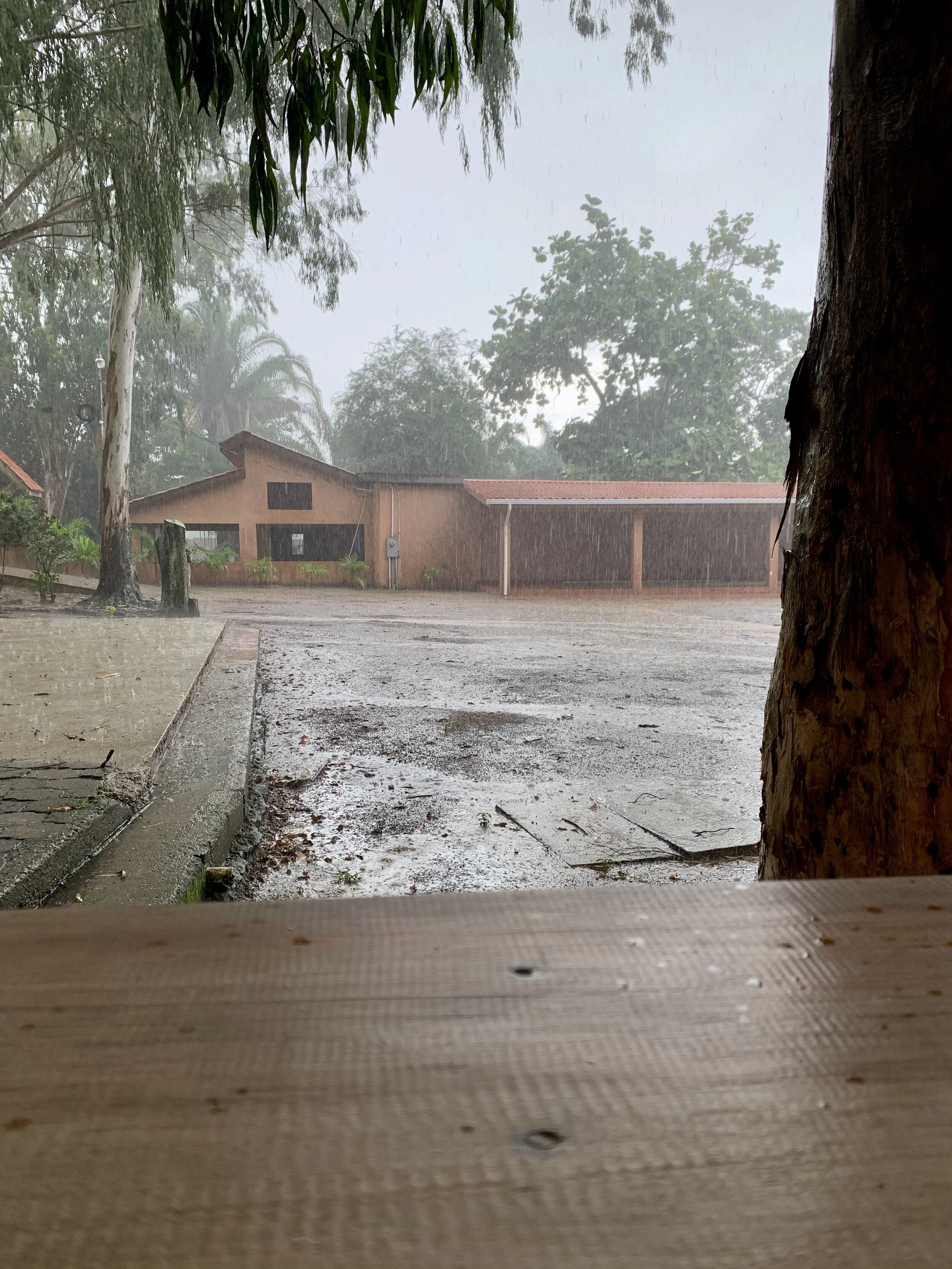 It has been a rainy September! 