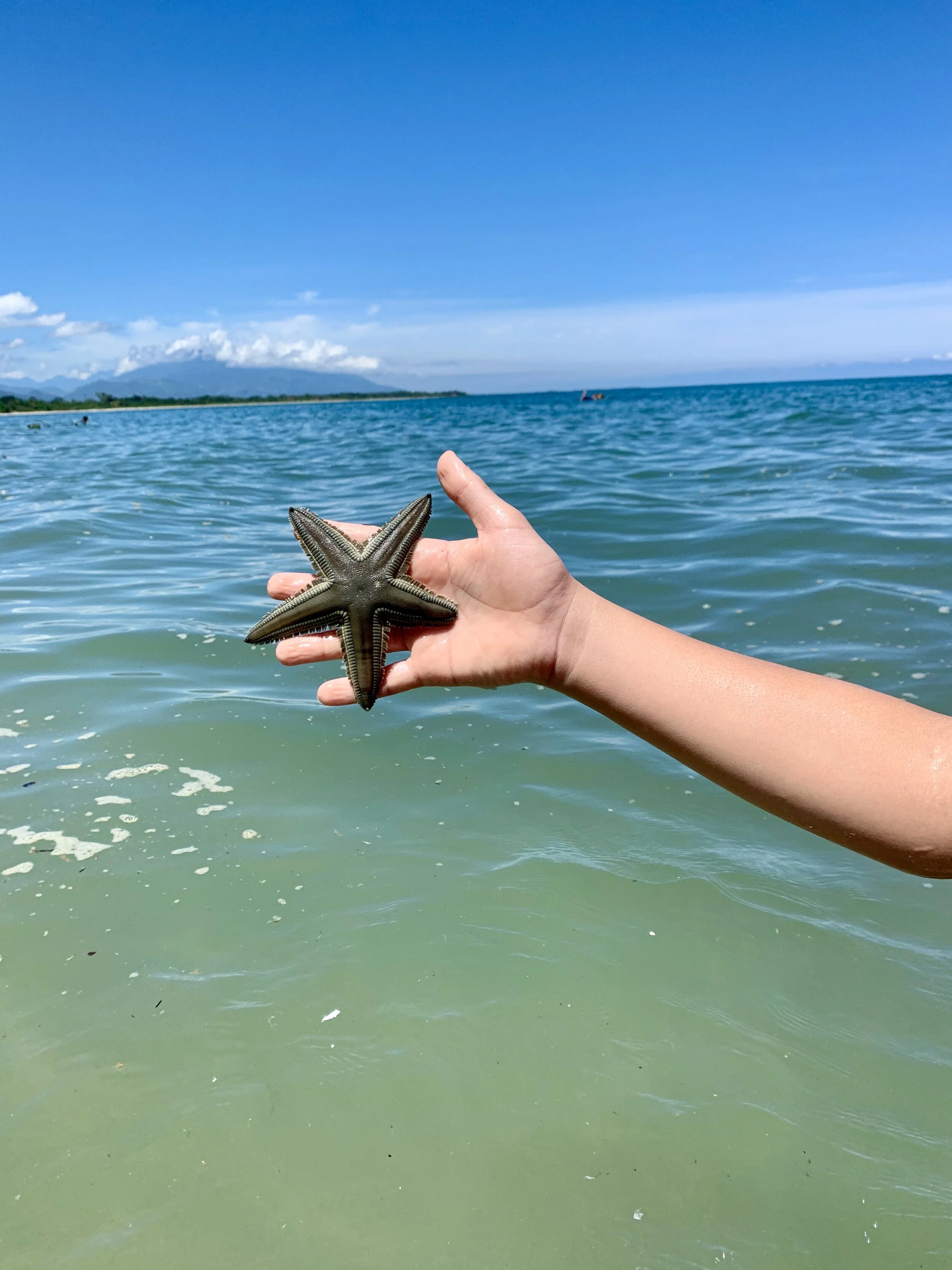 Enjoying the Ocean ! 
