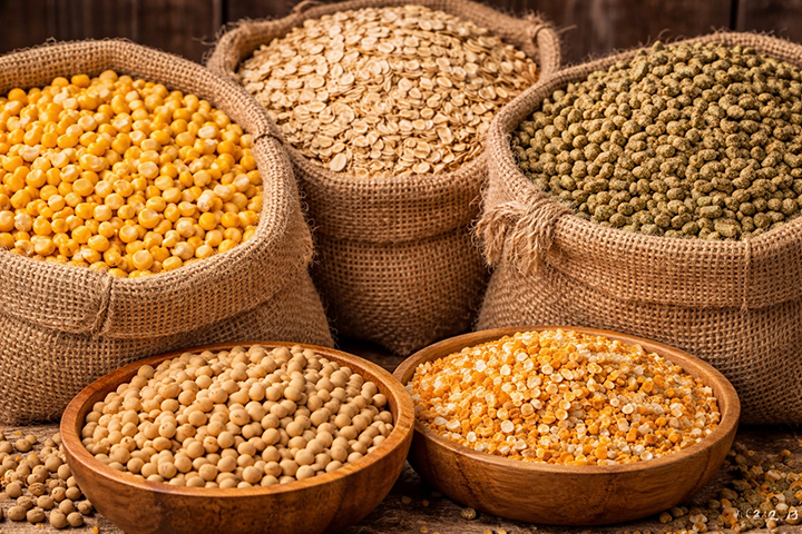 Feed ingredients for animal nutrition