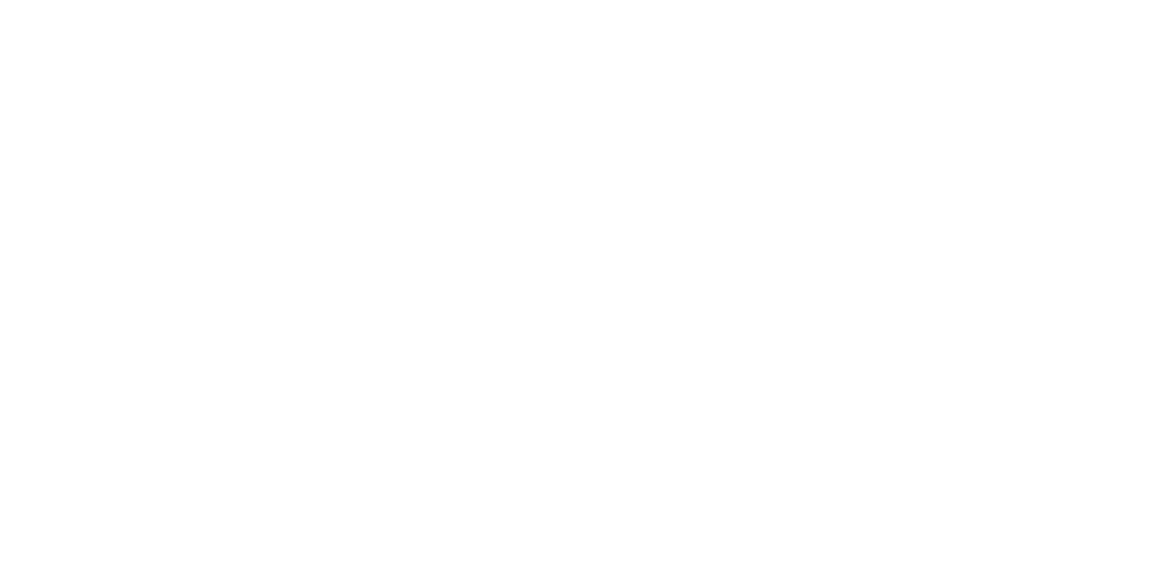 Running Horse Feeds