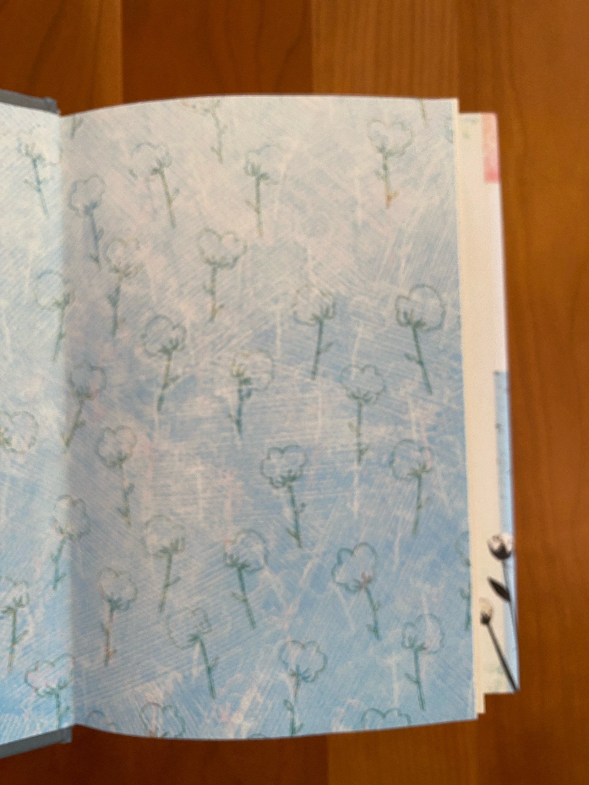 DB2781D9-04B9-4877-8740-20C513332CCB.jpeg