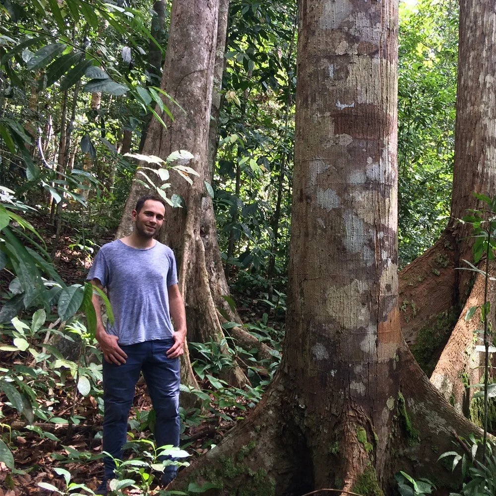 Toby Jackson, Postdoc
