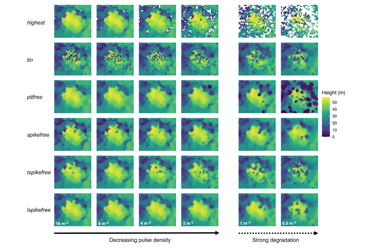 Robust characterisation of forest structure from airborne laser scanning – a systematic assessment and sample workflow for ecologists
