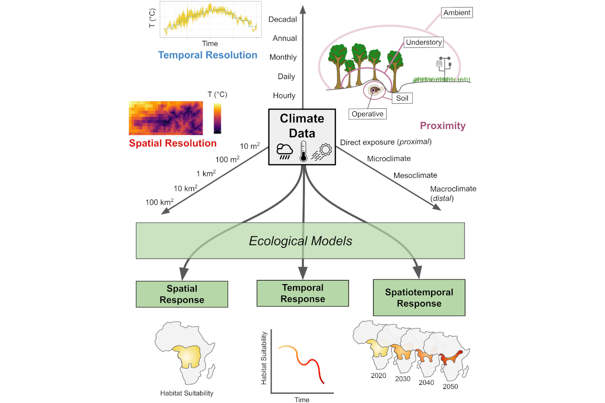 Proximal microclimate: Moving beyond spatiotemporal resolution improves ecological predictions