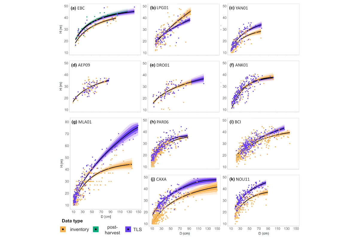 New tree height allometries derived from terrestrial laser scanning reveal substantial discrepancies with forest inventory methods in tropical rainforests