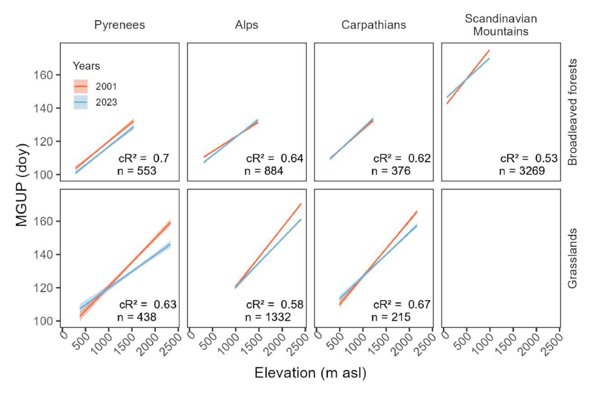 Diverging trends in plant phenology and productivity across European mountains in a warming world