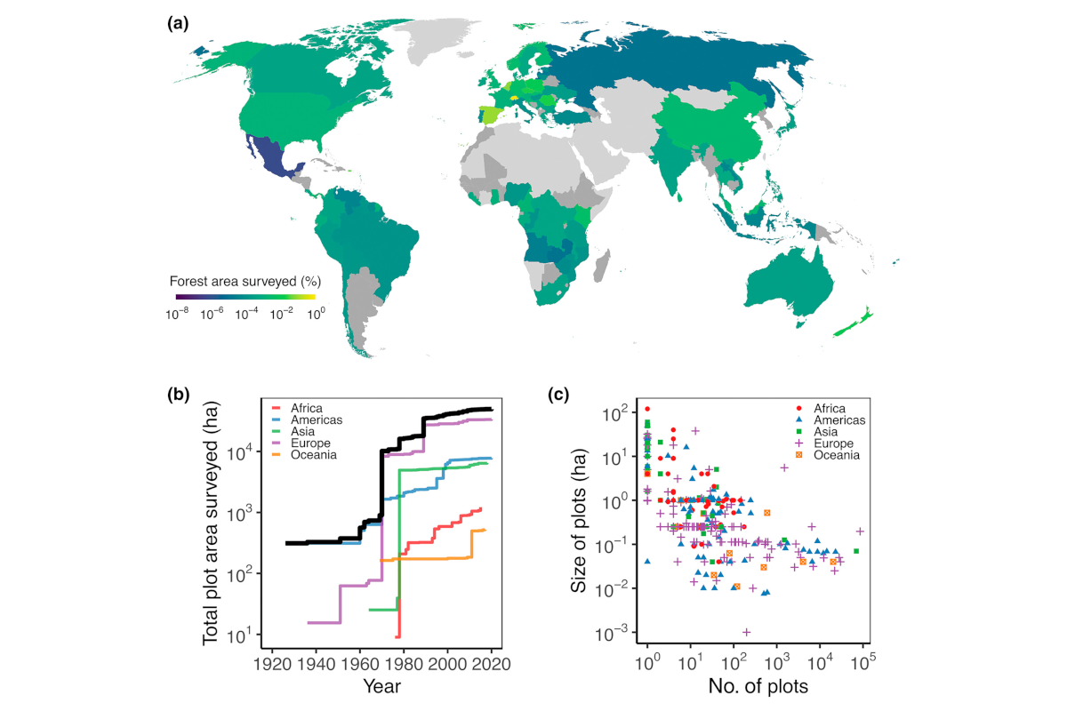 Towards a global understanding of tree mortality