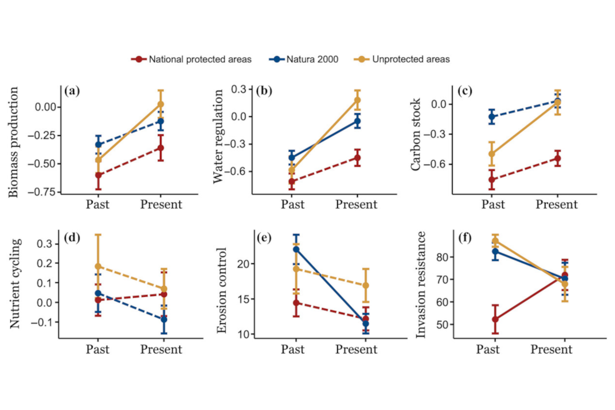 Using resurvey data to predict changes in ecosystem functioning across protected and unprotected coastal dunes