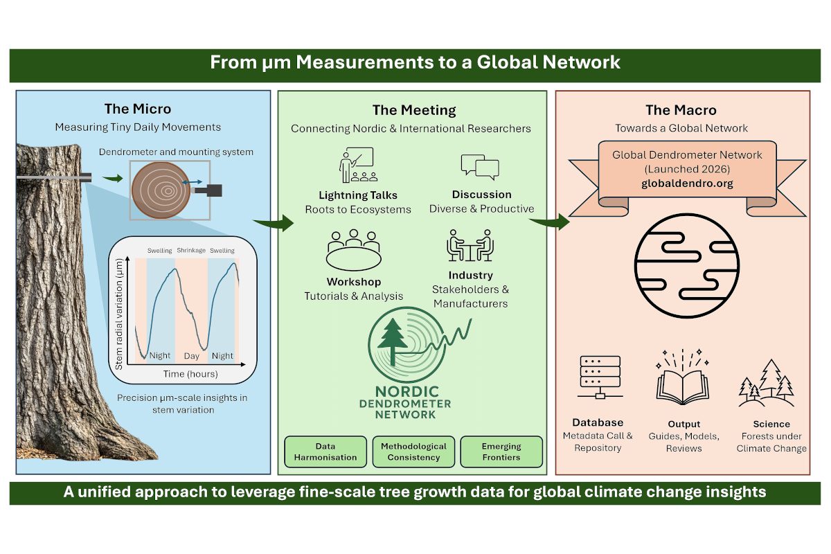 From microscopic movements to forest-scale insights: the Nordic Dendrometer Meeting and the emergence of the Global Dendrometer Network