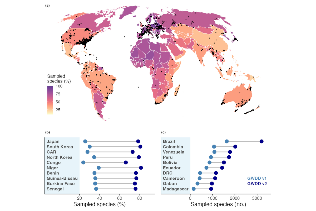 Beyond species means – the intraspecific contribution to global wood density variation
